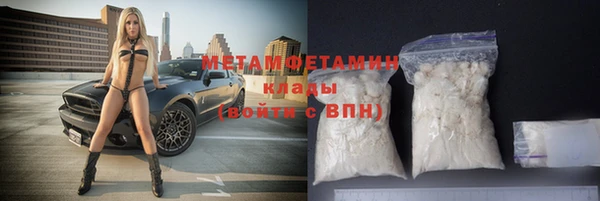 гидра Ахтубинск