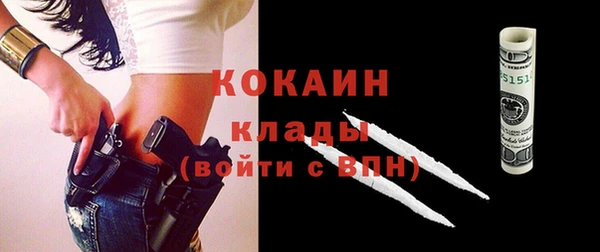прущие грибы Переславль-Залесский