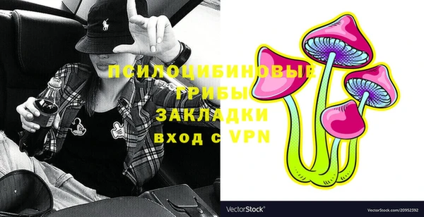 прущие грибы Переславль-Залесский