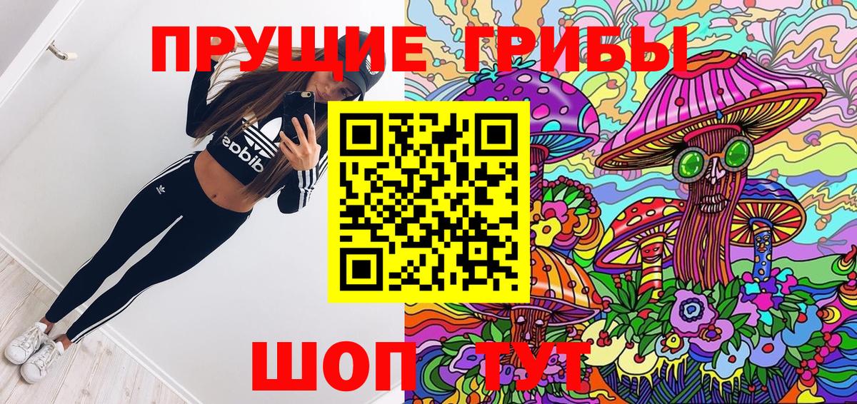 Галлюциногенные грибы прущие грибы  Вход с VPN  Карталы 