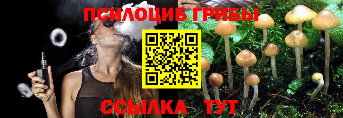 Галлюциногенные грибы Cubensis Карталы